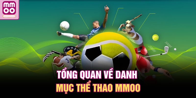 Tổng quan về danh mục thể thao MMOO